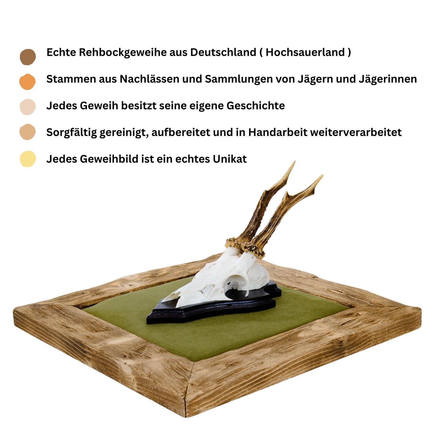 Geweihbilder Jagdgrün - Velour