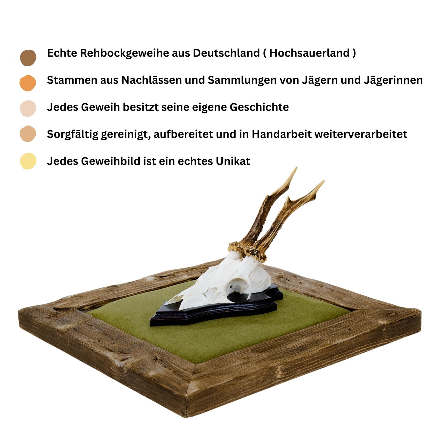 Geweihbilder Jagdgrün - Velour