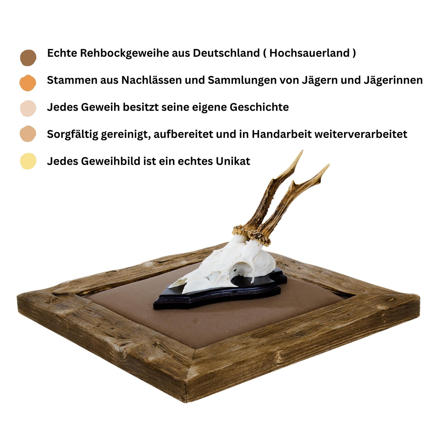 Geweihbilder Braun - Velour