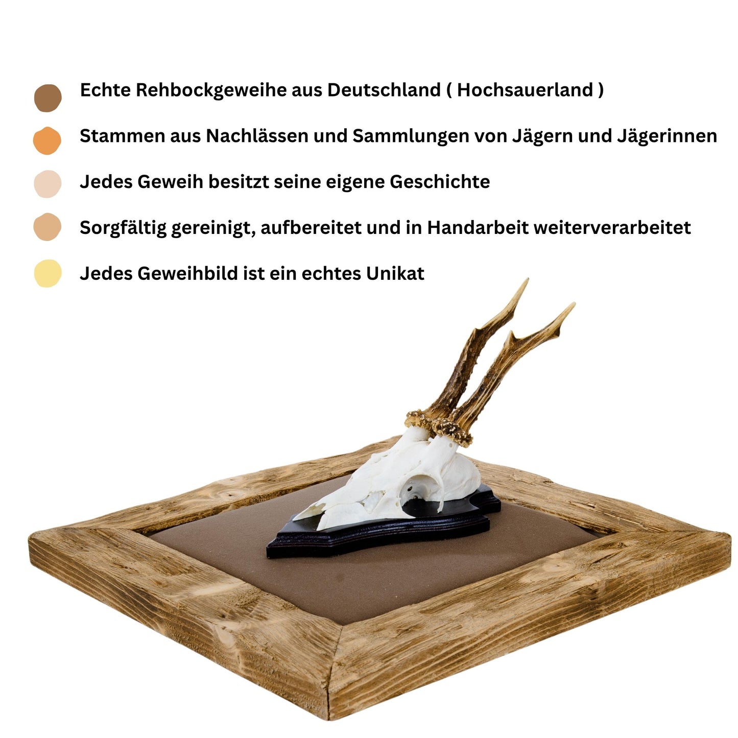 Geweihbilder Braun - Velour