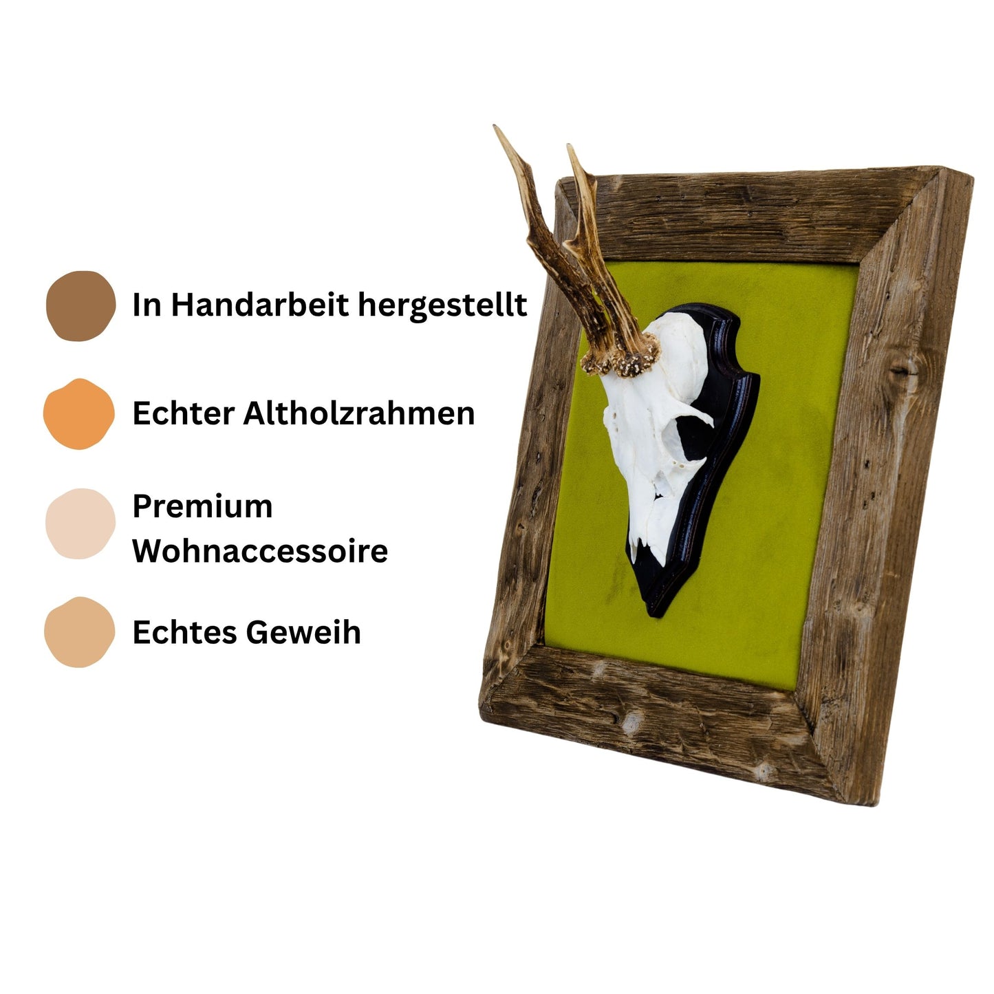 Geweihbilder Moosgrün - Velour