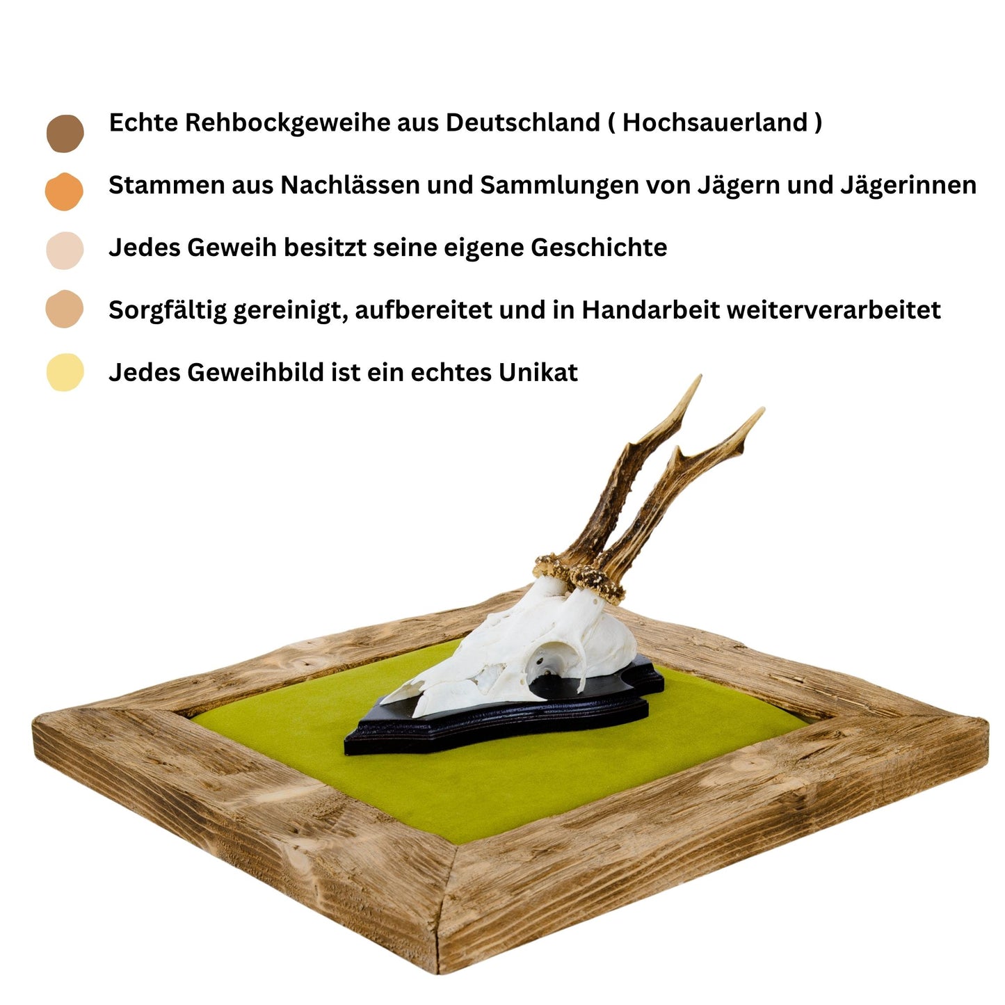 Geweihbilder Moosgrün - Velour