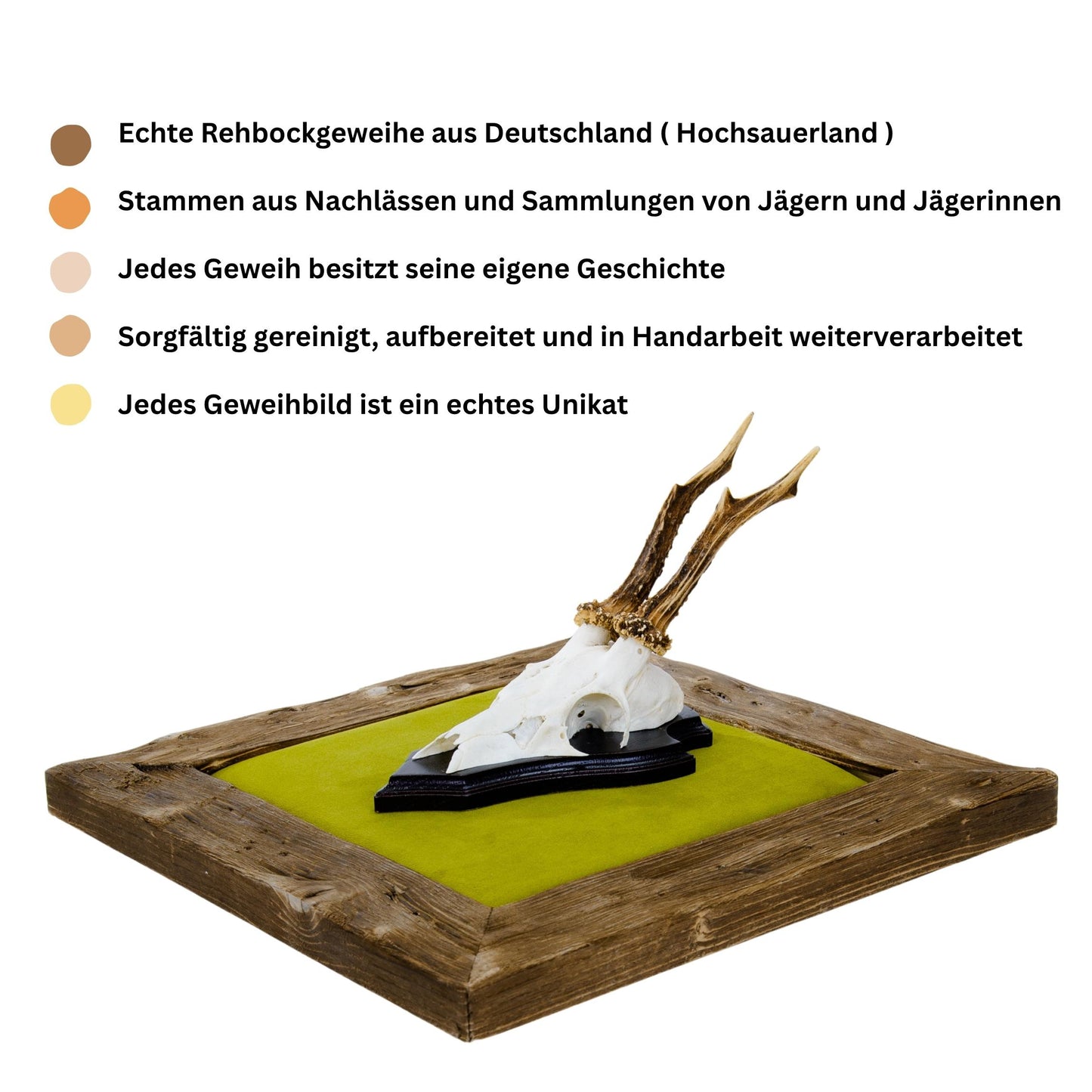 Geweihbilder Moosgrün - Velour