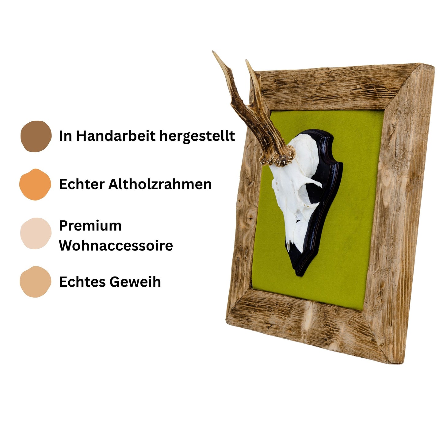 Geweihbilder Moosgrün - Velour