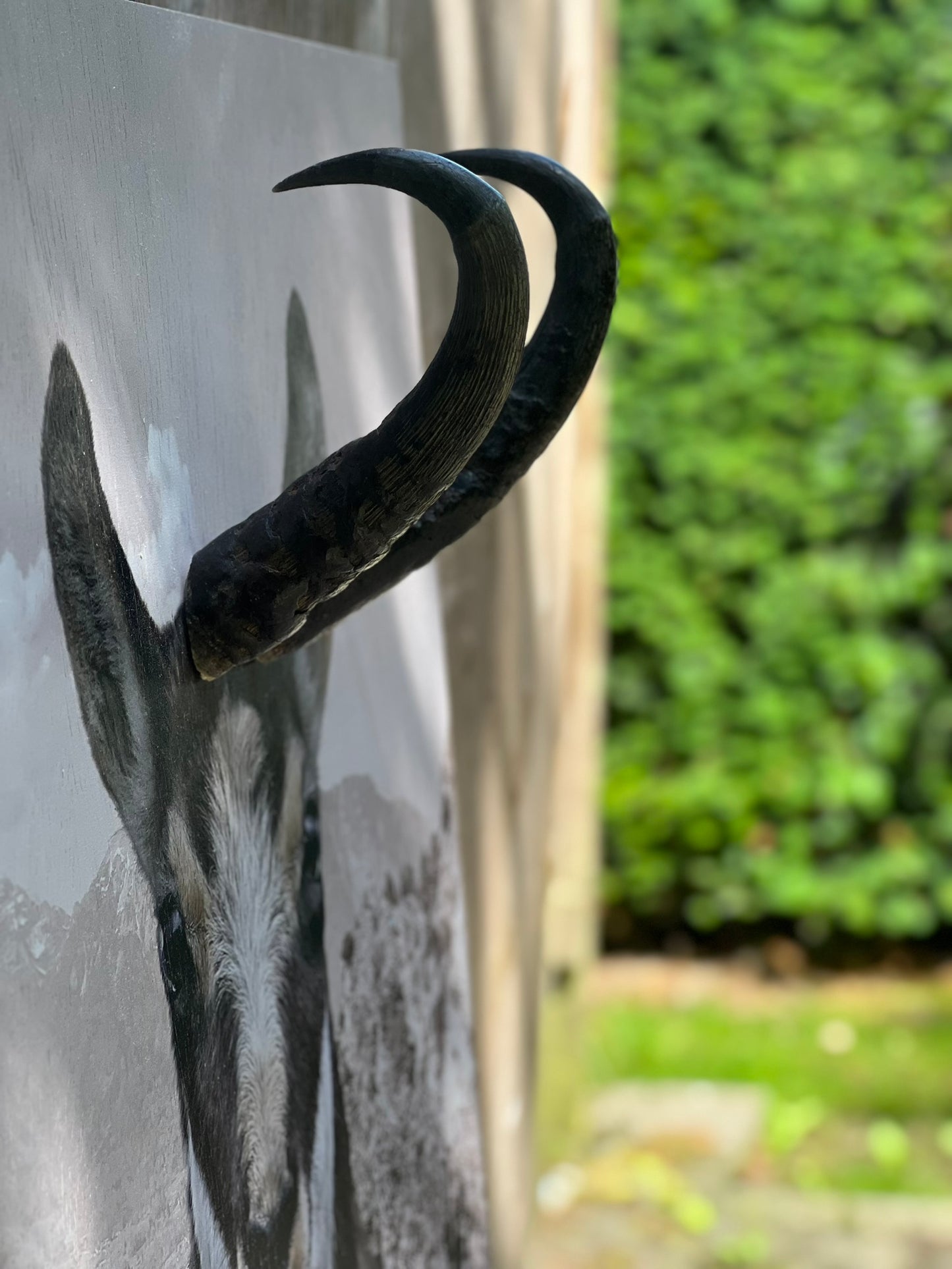 Wandbilder Rehbock und Gams