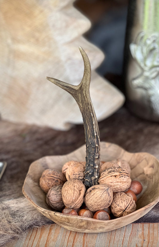 Schale aus Holz mit Geweih