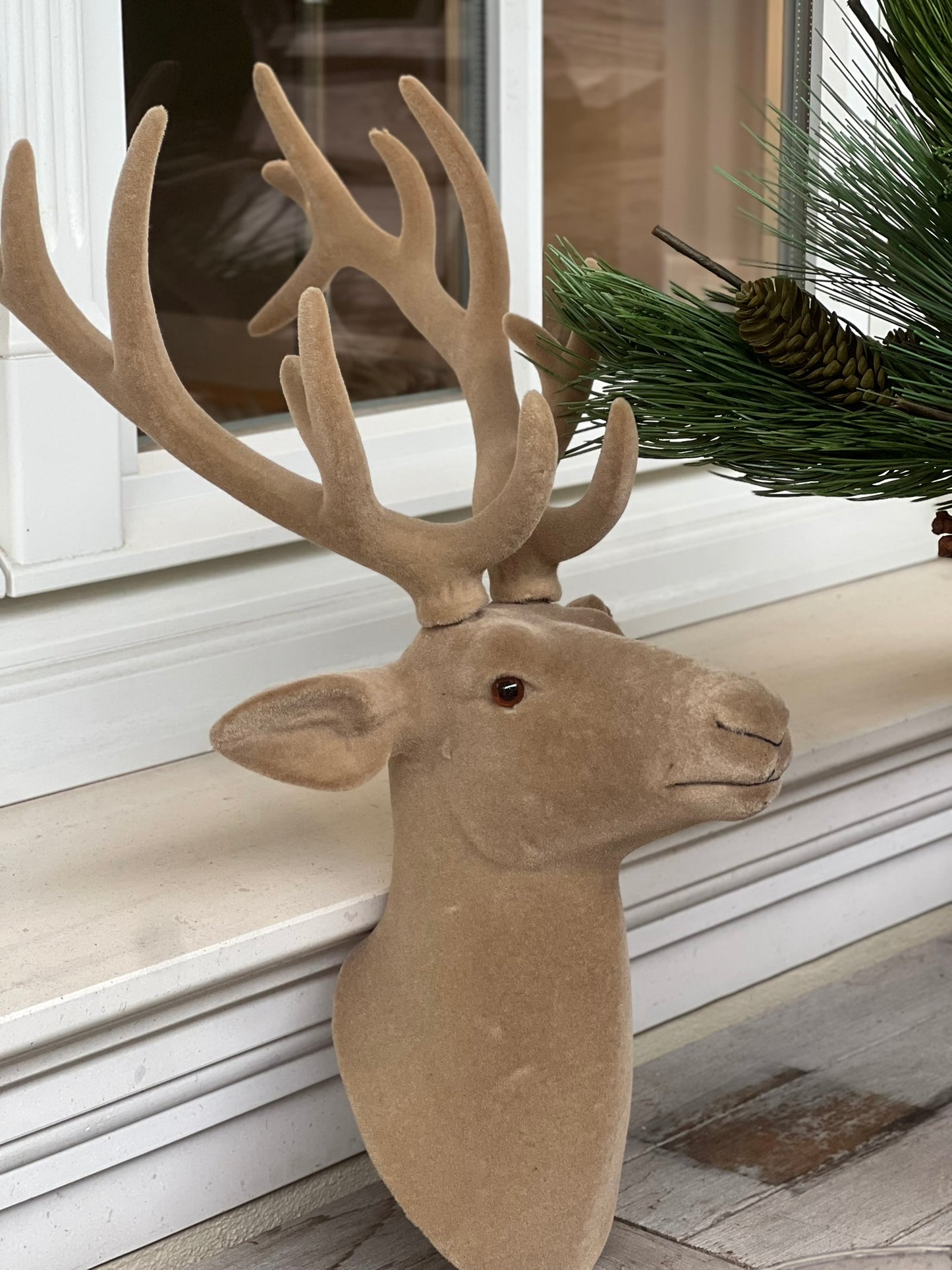 Hirschkopf aus Samt Farbe: Taupe