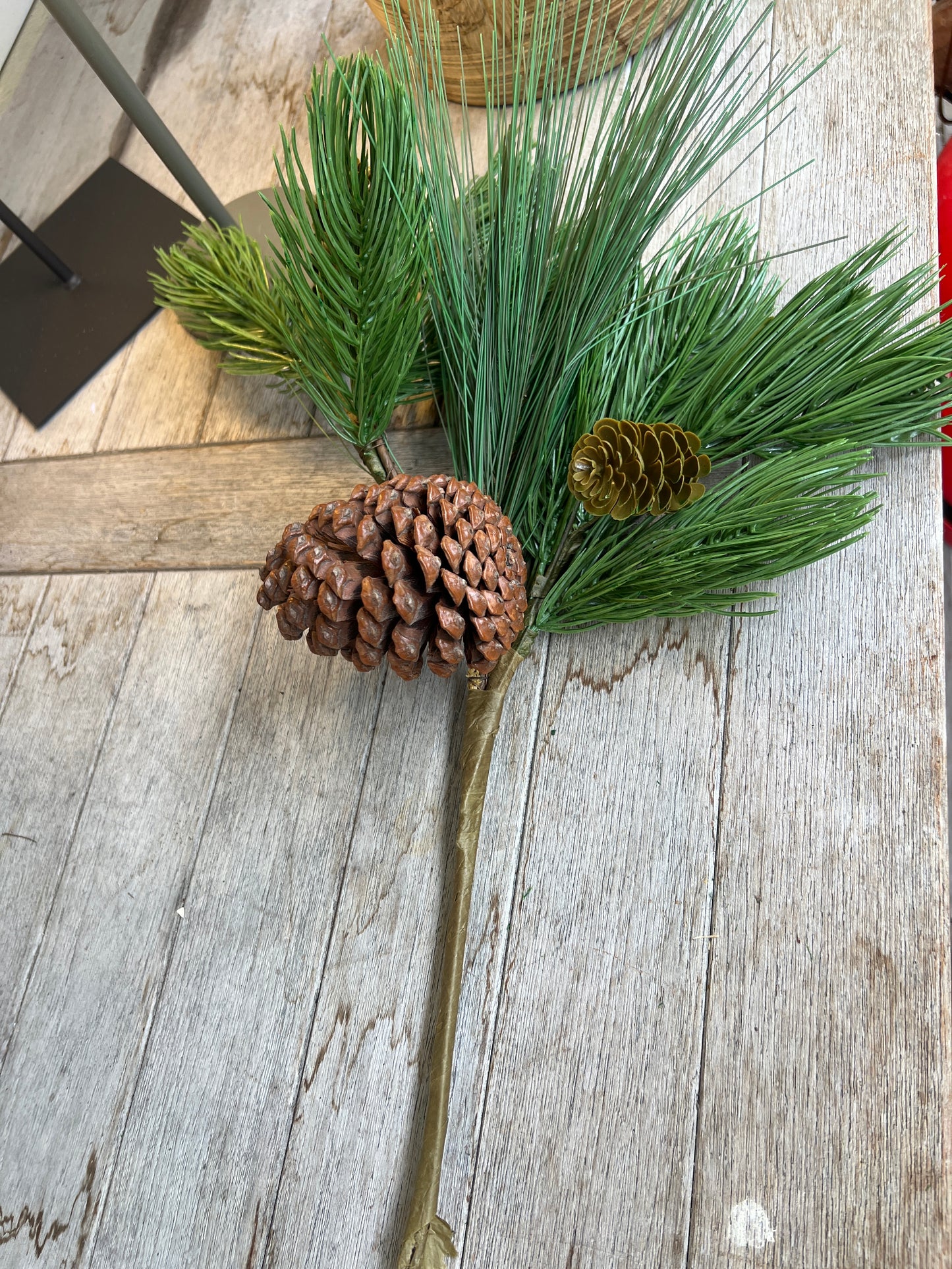 Kiefernzweig täuschend echt