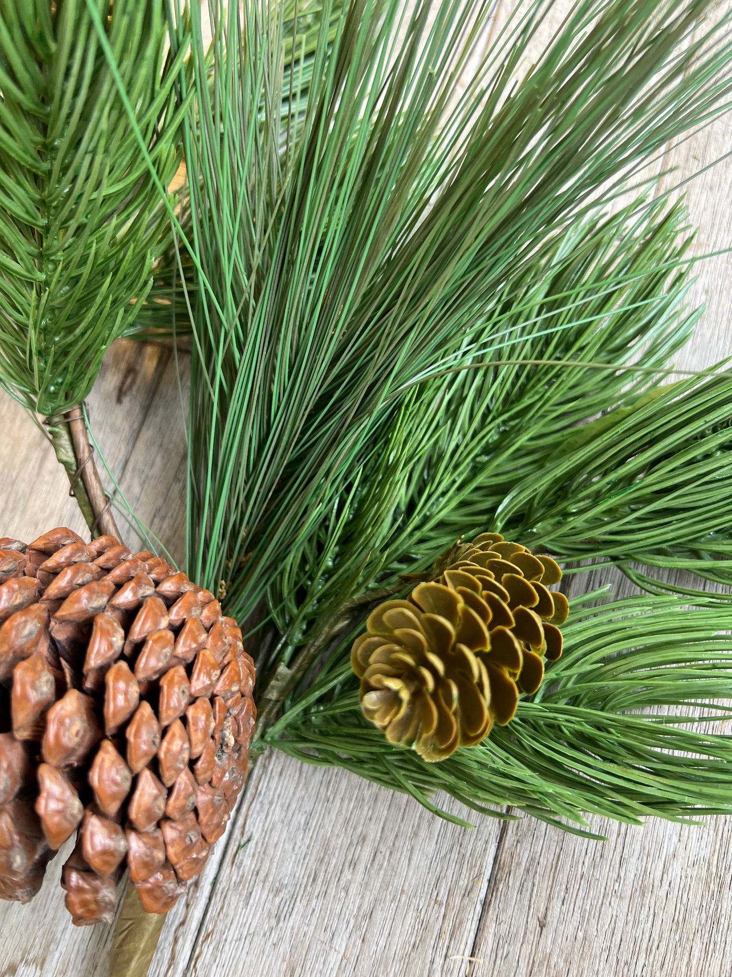 Kiefernzweig täuschend echt