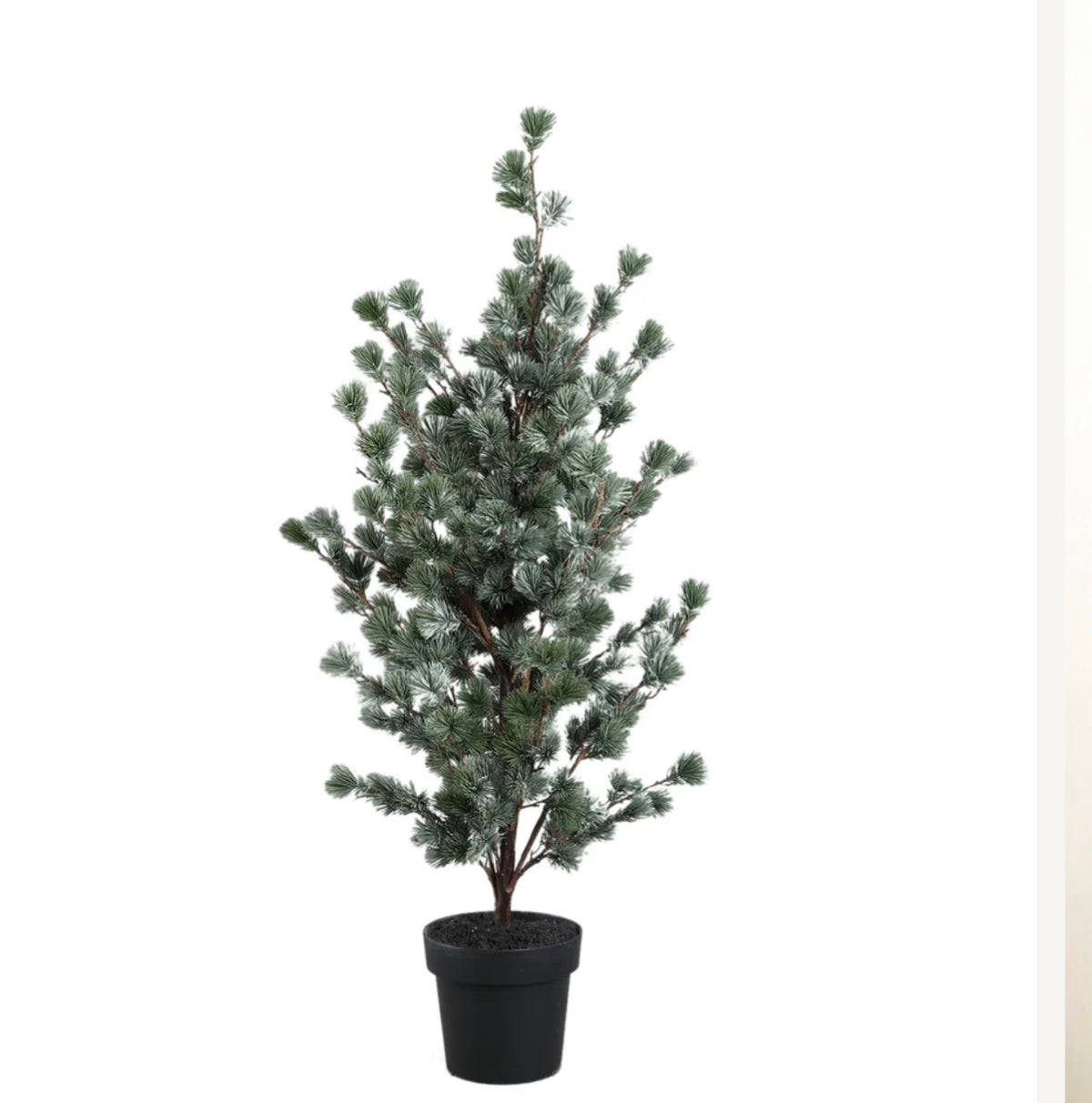 Zederbaum täuschend echt