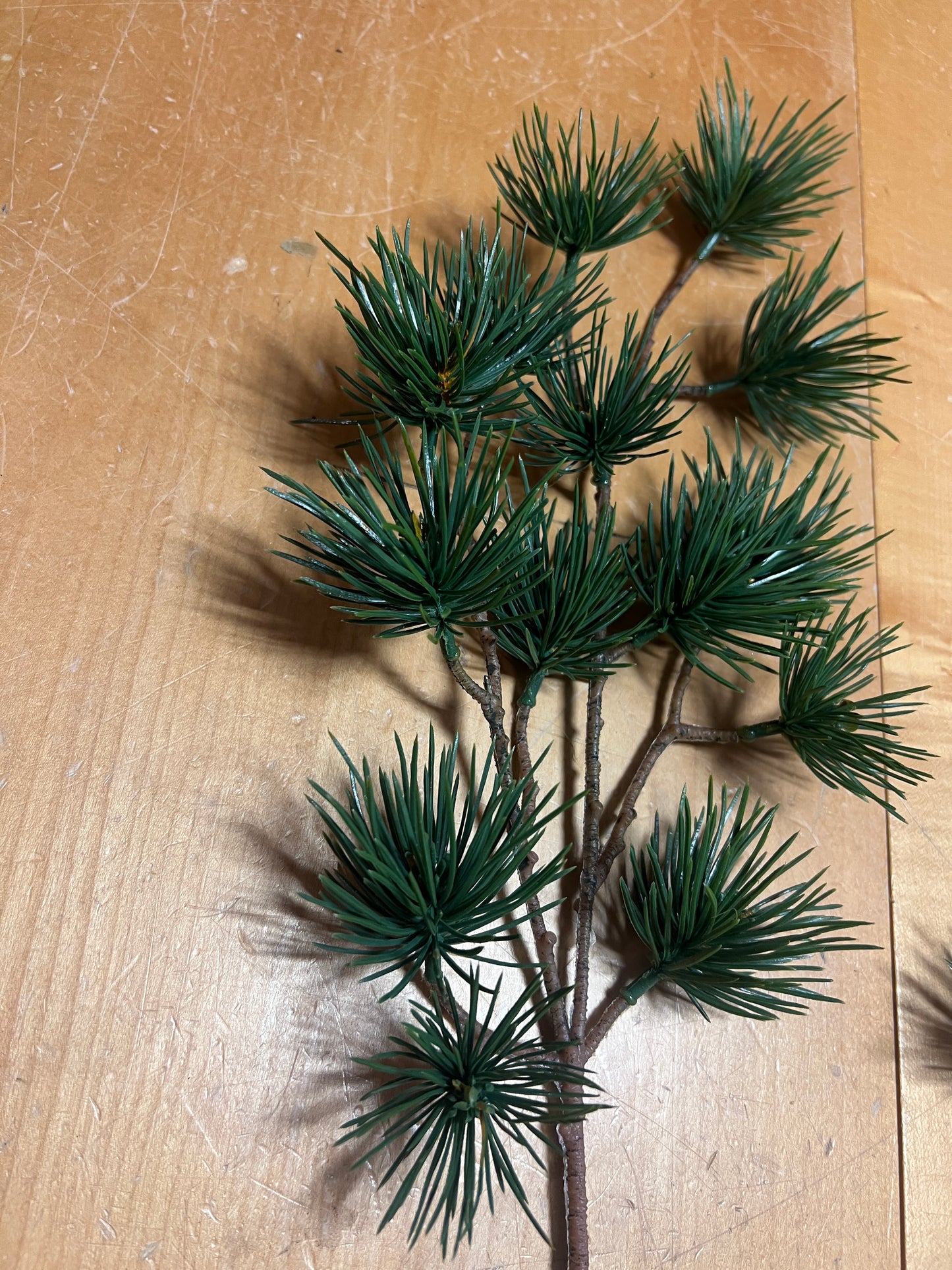 Kiefernzweig täuschend echt