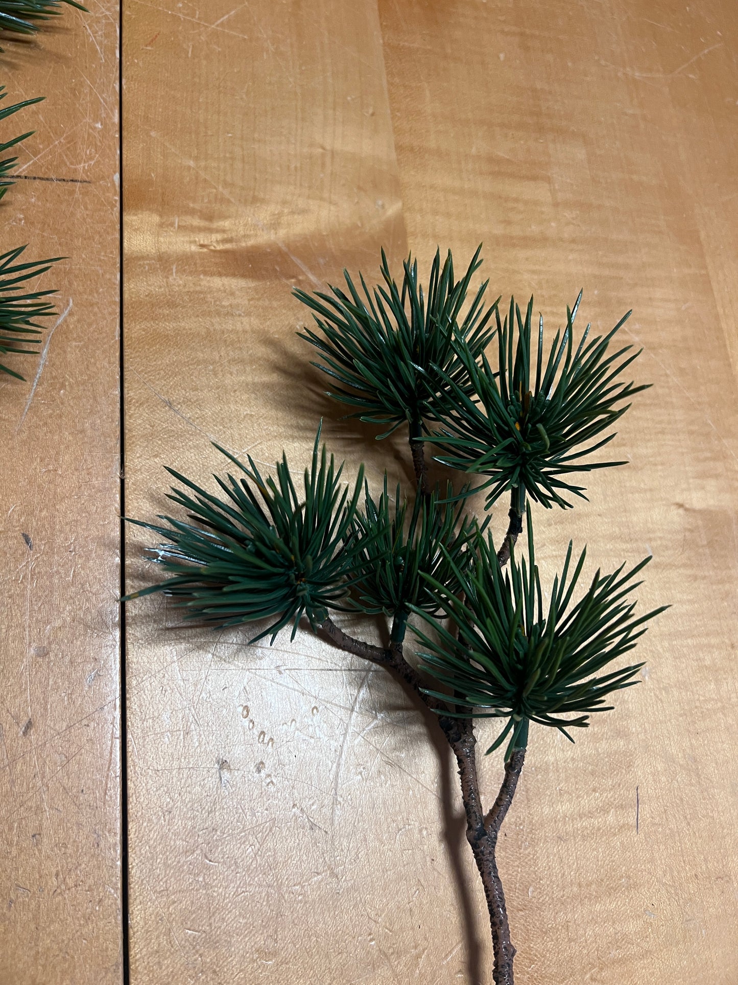 Kiefernzweig täuschend echt