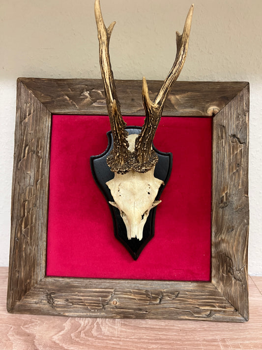 Geweihbild Samthintergrund BEERE Farbton 9