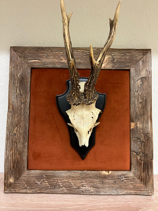 Geweihbild Samthintergrund TERAKOTTA Farbton 25