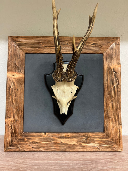 Geweihbild Samthintergrund STEINGRAU Farbton 33