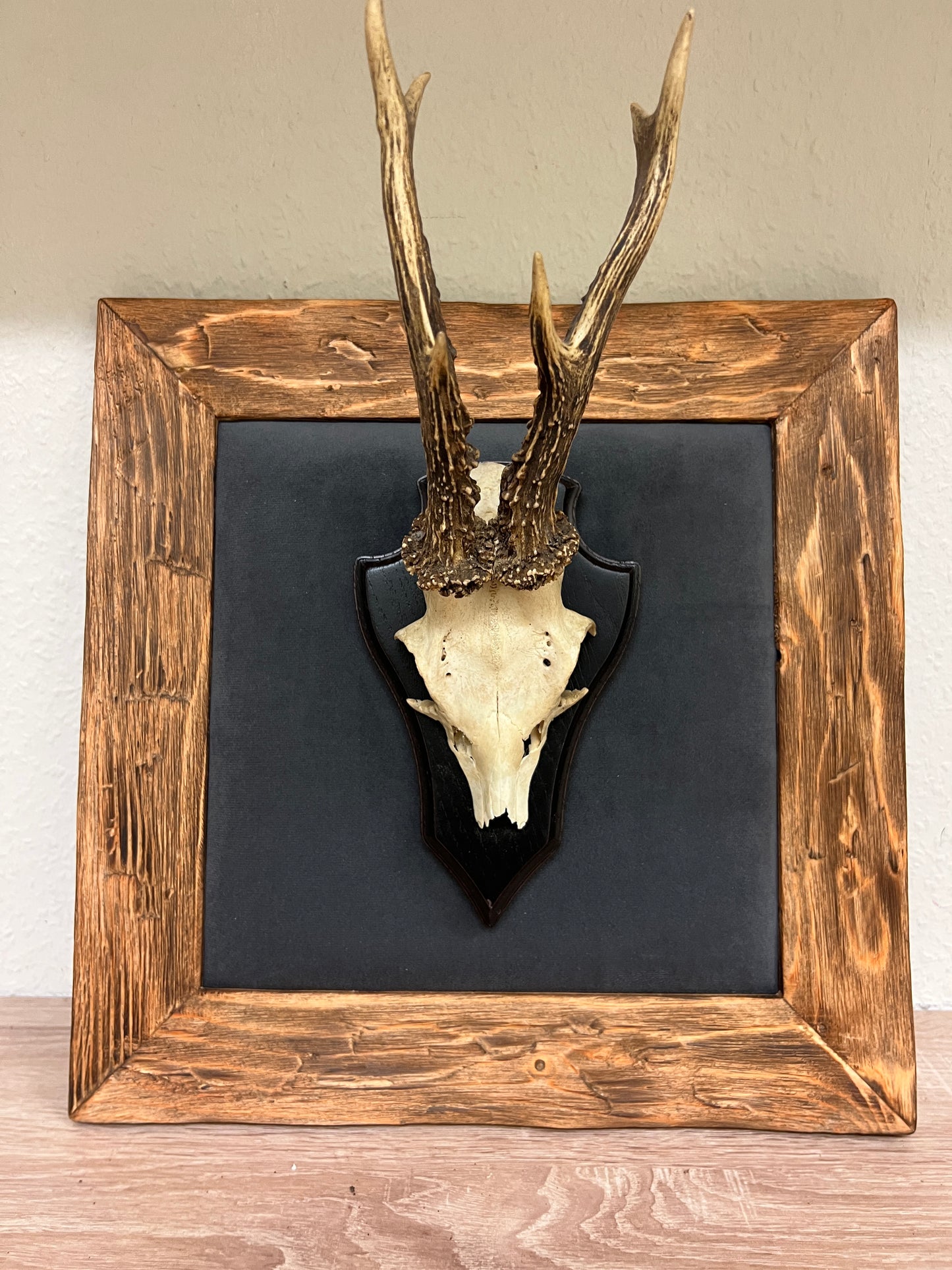 Geweihbild Samthintergrund DUNKELGRAU Farbton 34