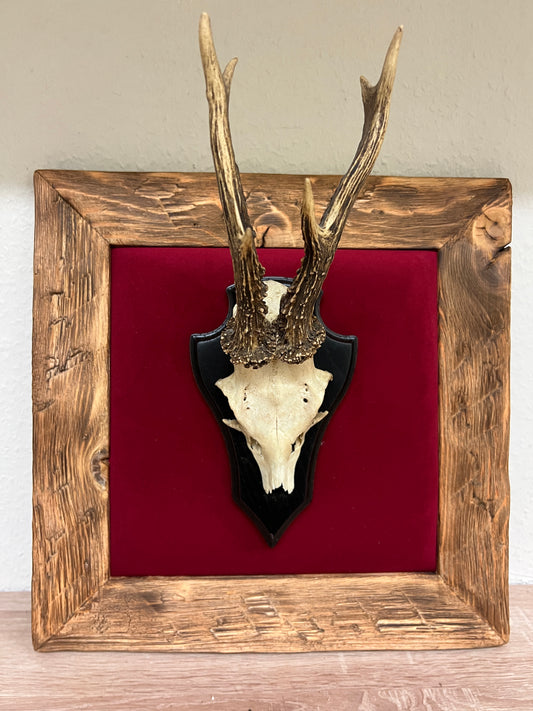 Geweihbild Samthintergrund RUBINROT Farbton 24