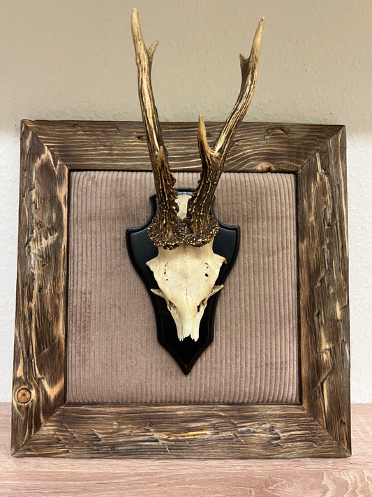 Geweihbild Cordhintergrund BEIGE Farbton 2C