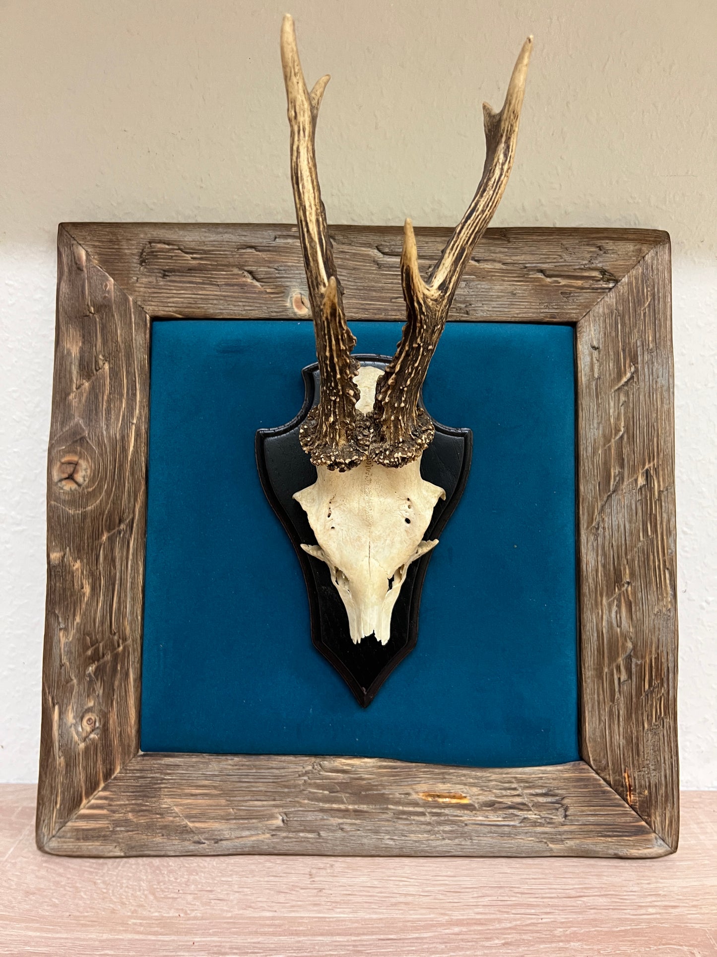 Geweihbild Samthintergrund AZURBLAU Farbton 29