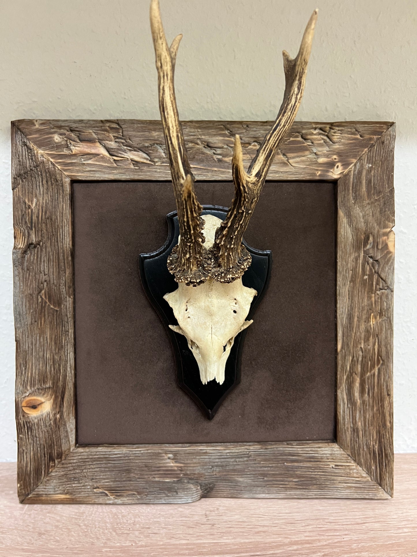 Geweihbild Samthintergrund DUNKELBRAUN Farbton 7