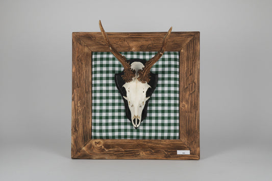 Geweihbild Alpenkaro kiefergrün- weiß  Farbton 28 A