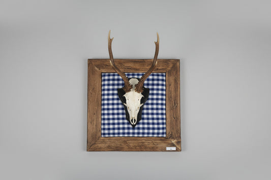 Geweihbild Alpenkaro Blau-Weiß Farbton 30A