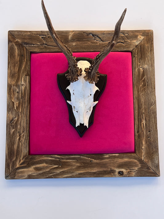 Geweihbild Samthintergrund PINK Farbton 10