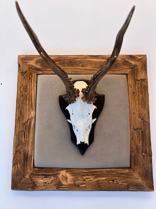 Geweihbild Samthintergrund TAUPE Farbton 3