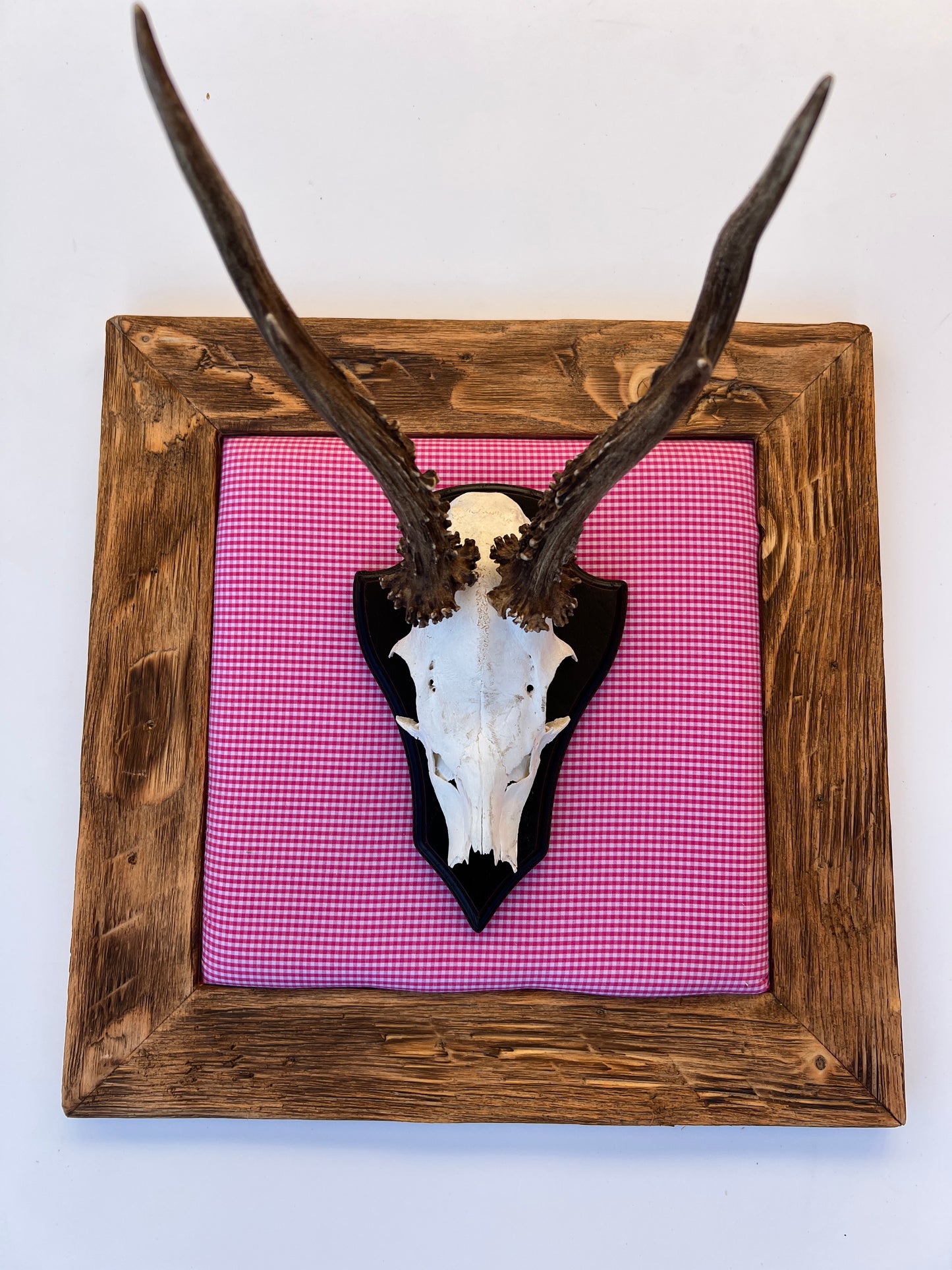 Geweihbild Alpenkaro PINK-WEISS  Farbton 10A