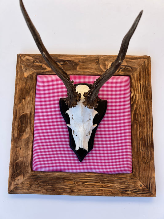 Geweihbild Alpenkaro PINK-WEISS  Farbton 10A