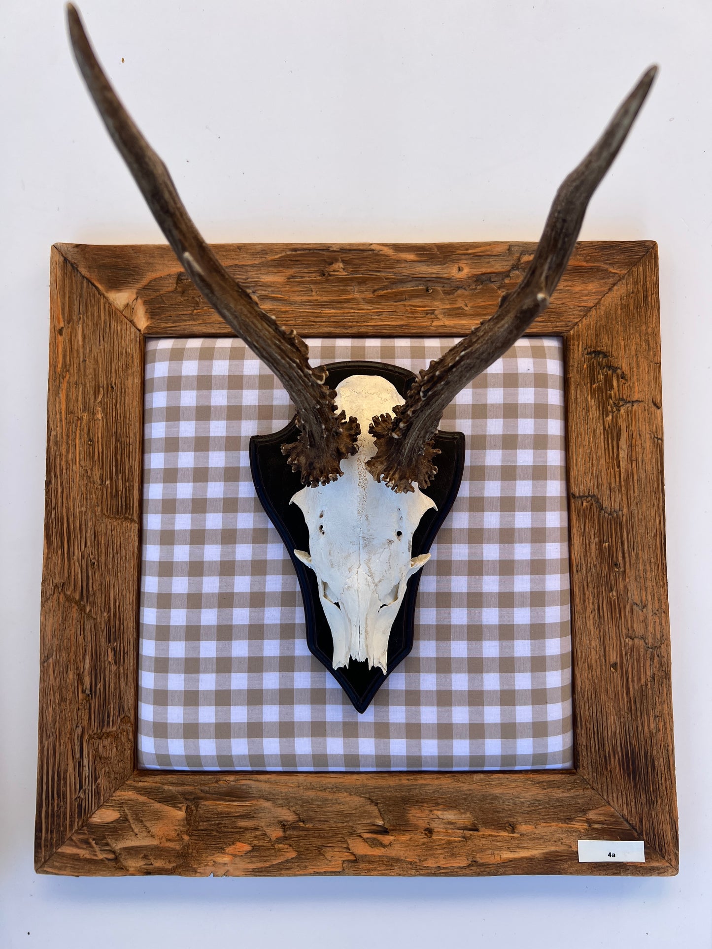 Geweihbild Alpenkaro beige-weiß  Farbton 2 A