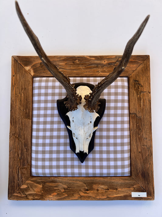 Geweihbild Alpenkaro beige-weiß  Farbton 2 A