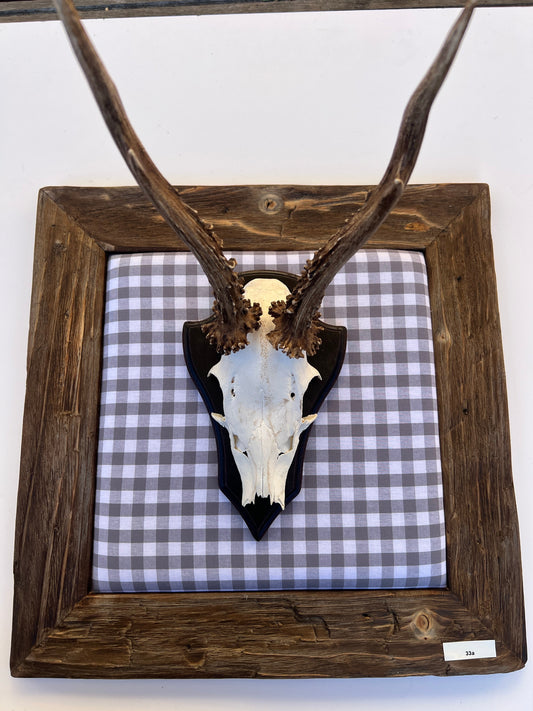 Geweihbild Alpenkaro Grau-Weiß Farbton 33A