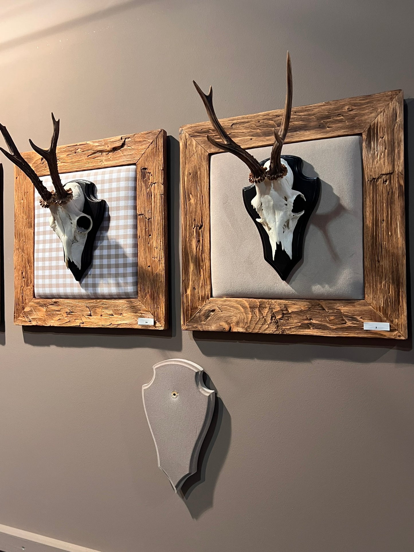 Bild für ein Hirschgeweih