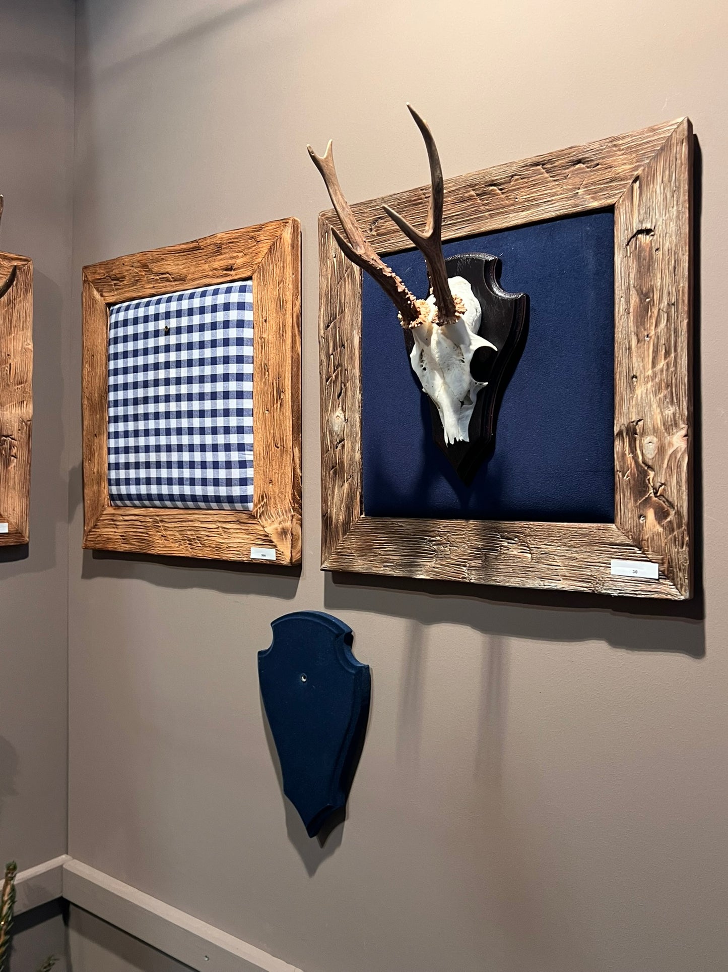 Bild für ein Hirschgeweih