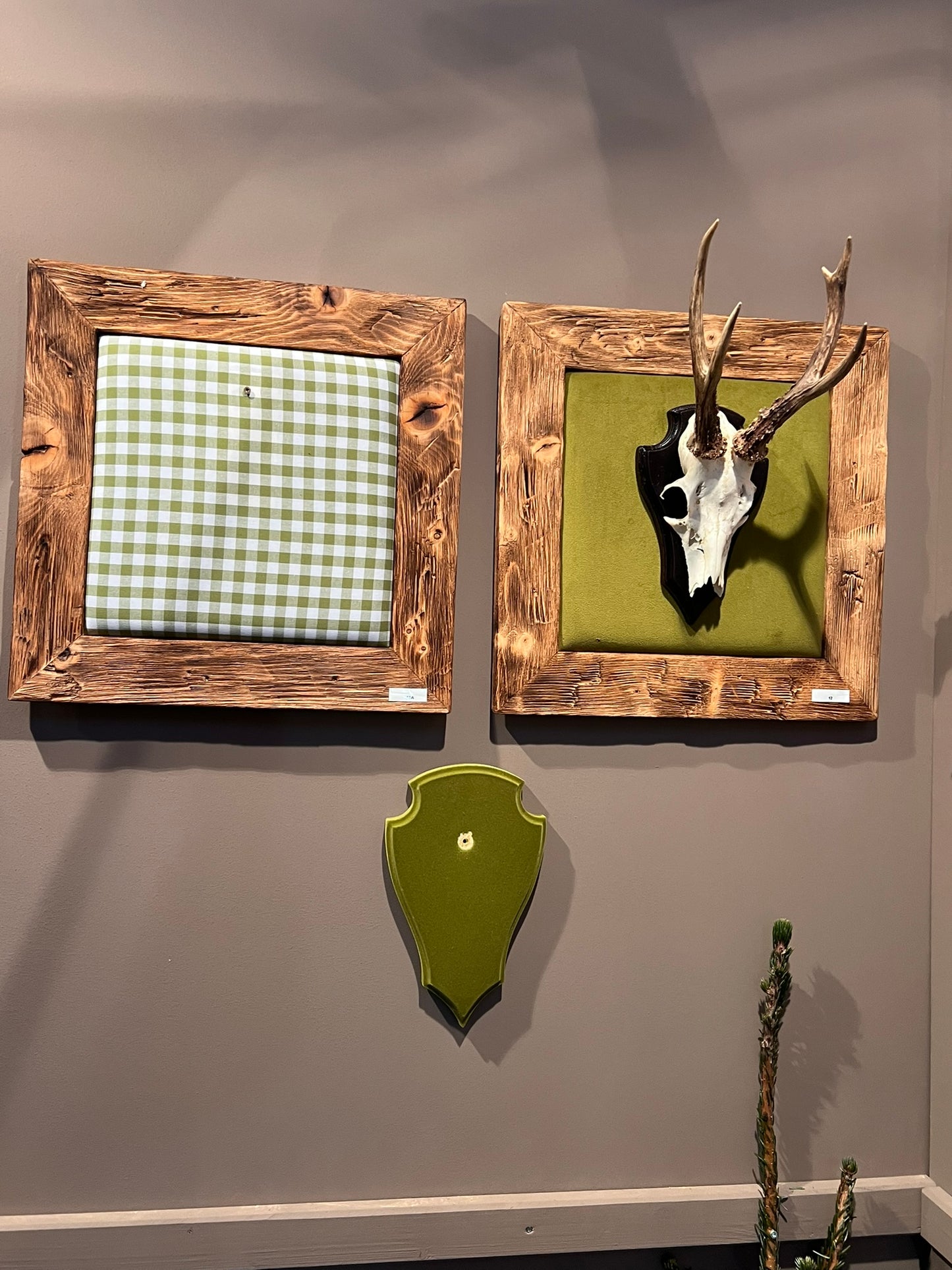 Bild für ein Hirschgeweih