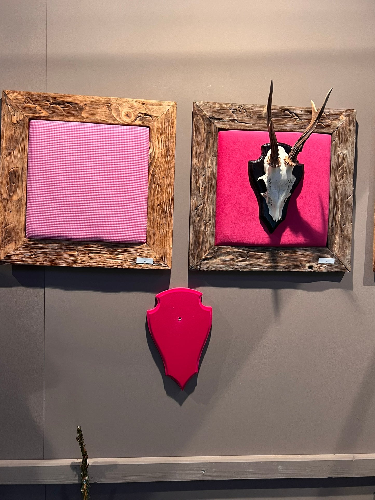 Bild für ein Hirschgeweih