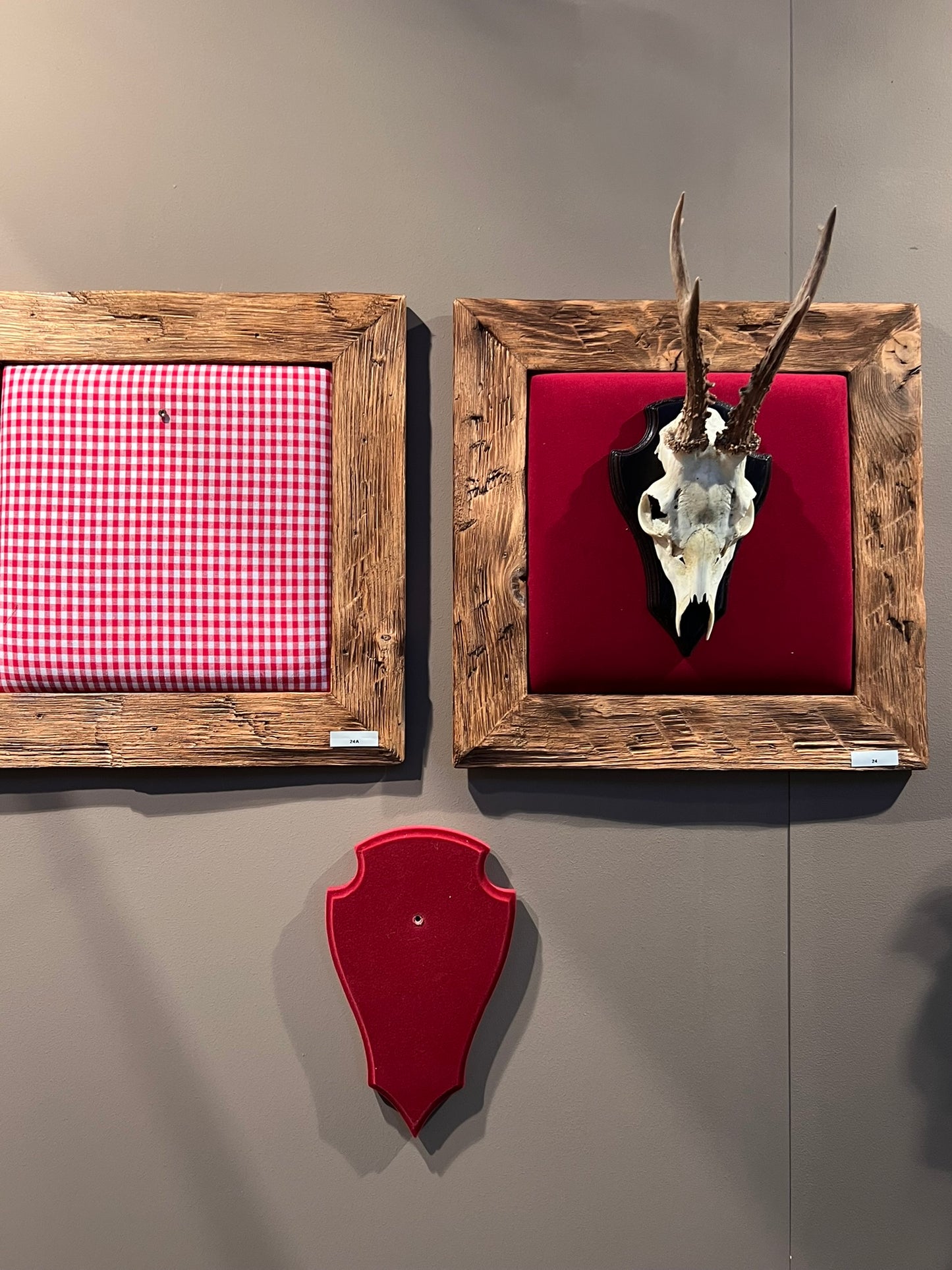 Bild für ein Hirschgeweih