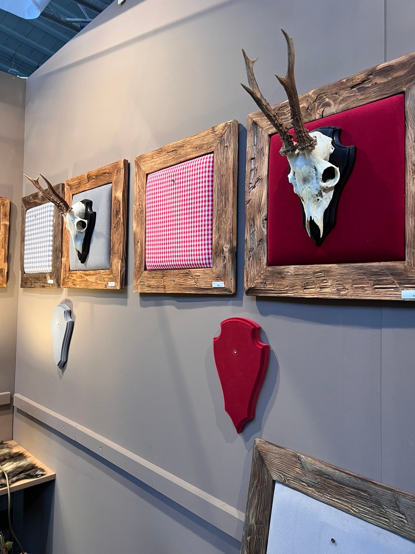 Bild für ein Hirschgeweih