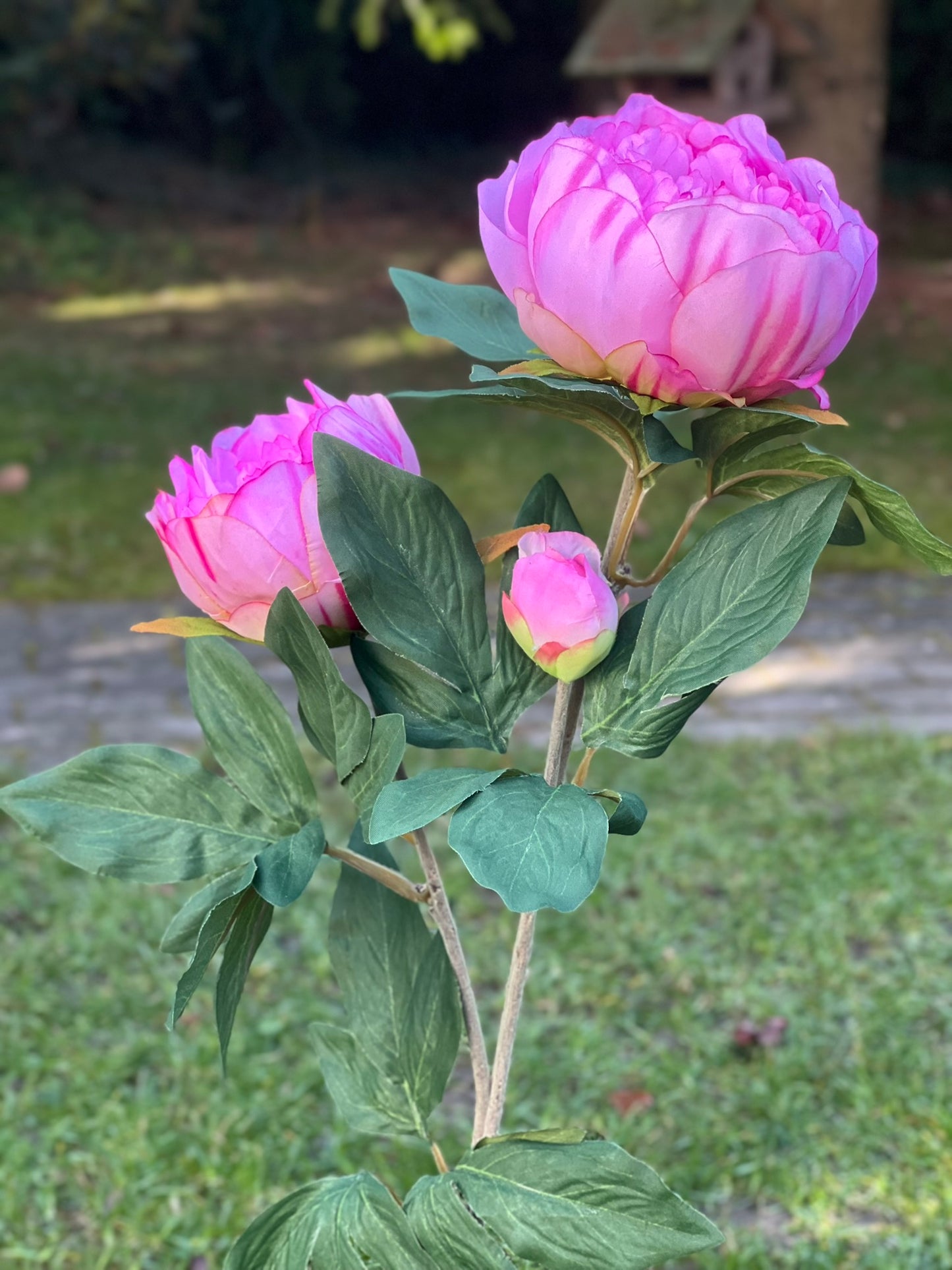 Pfingstrose als traumhafte Kunstblume