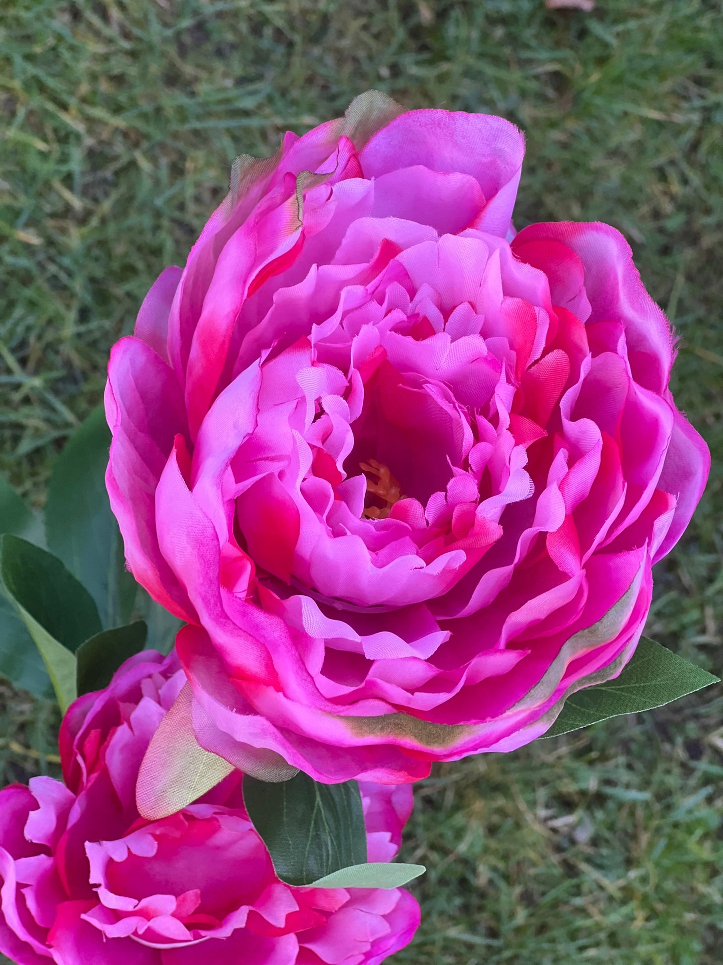 Pfingstrose als traumhafte Kunstblume