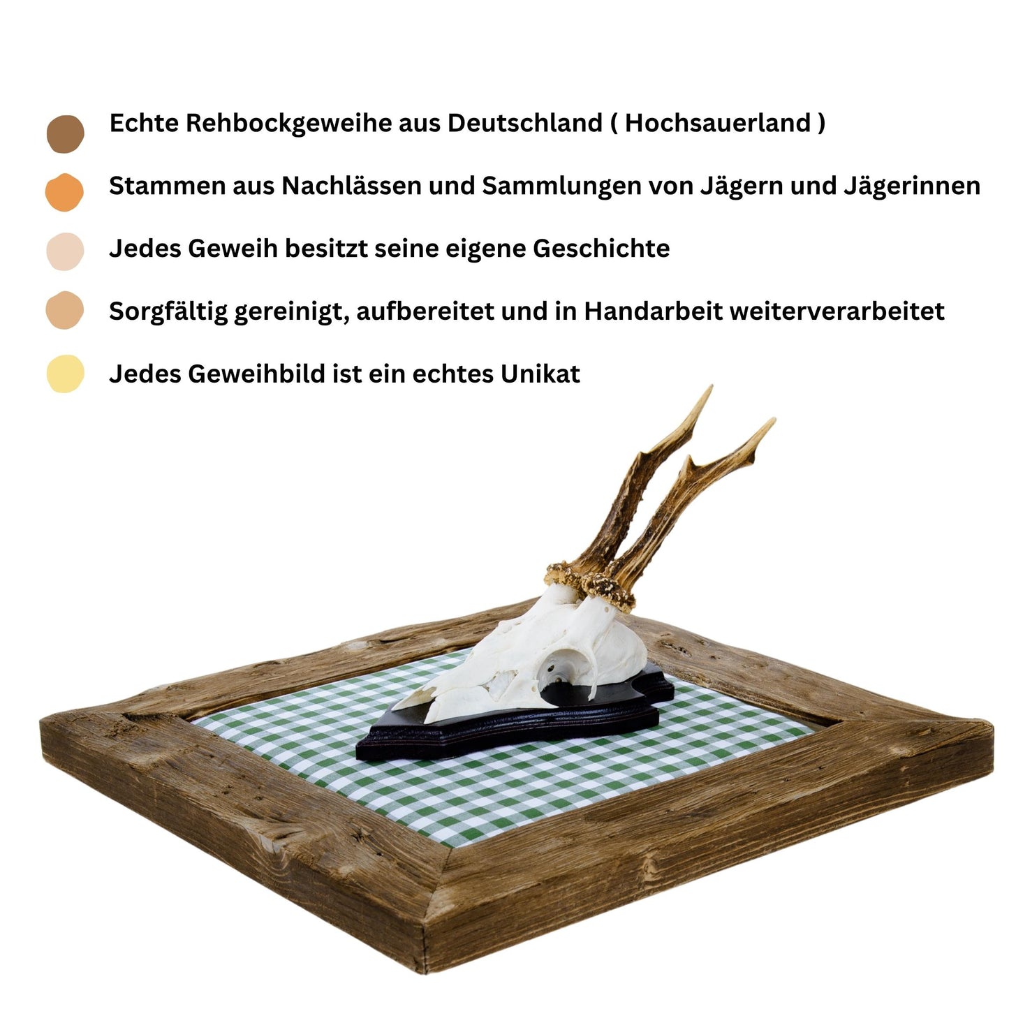 Geweihbilder Kiefergrün Karo - Holz dunkel