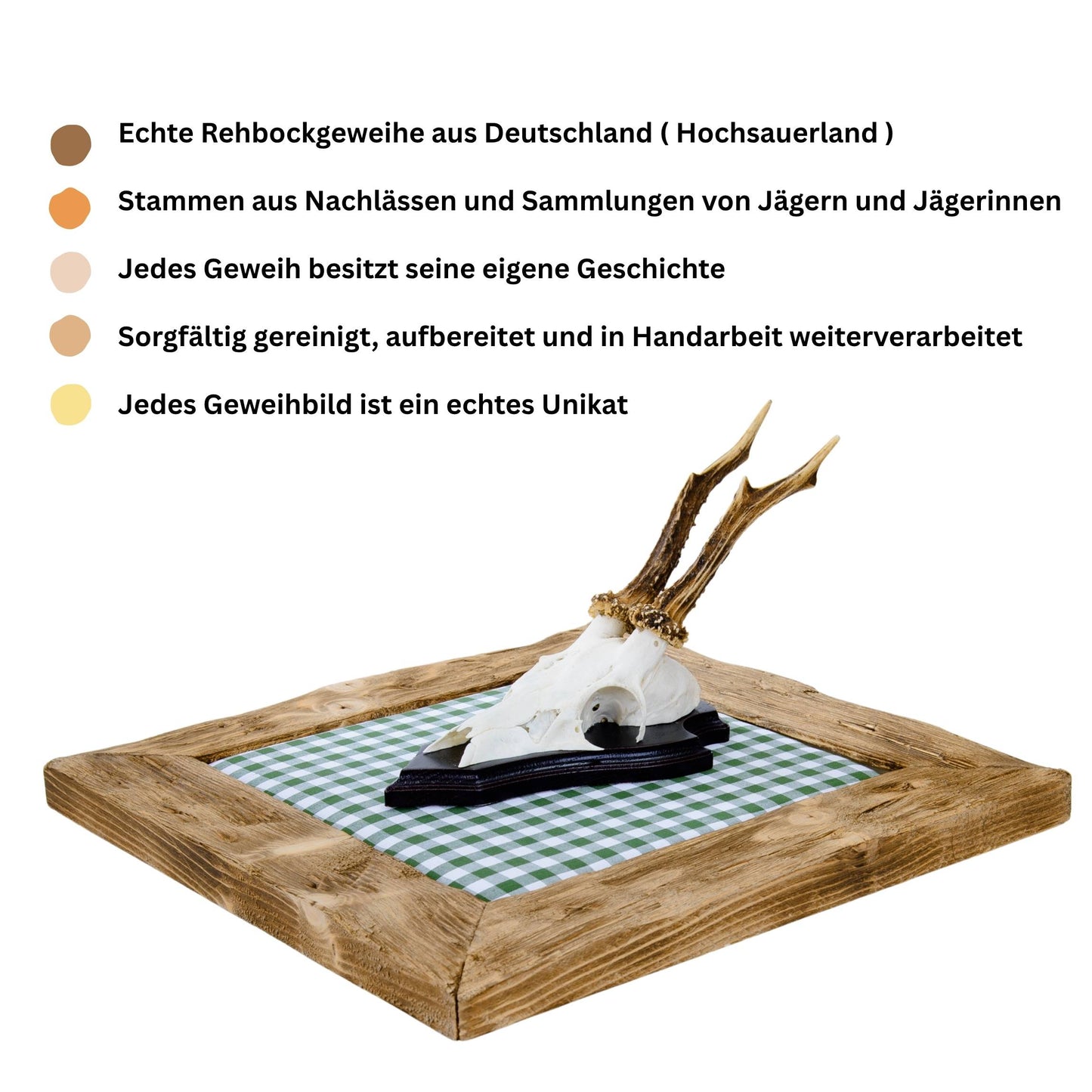 Geweihbilder Kiefergrün Karo - Holz hell