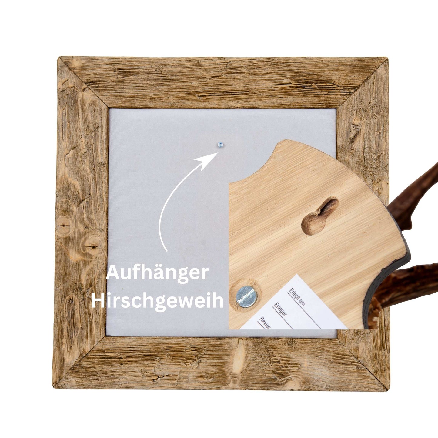 Geweihbilder naturweiß - Holz hell