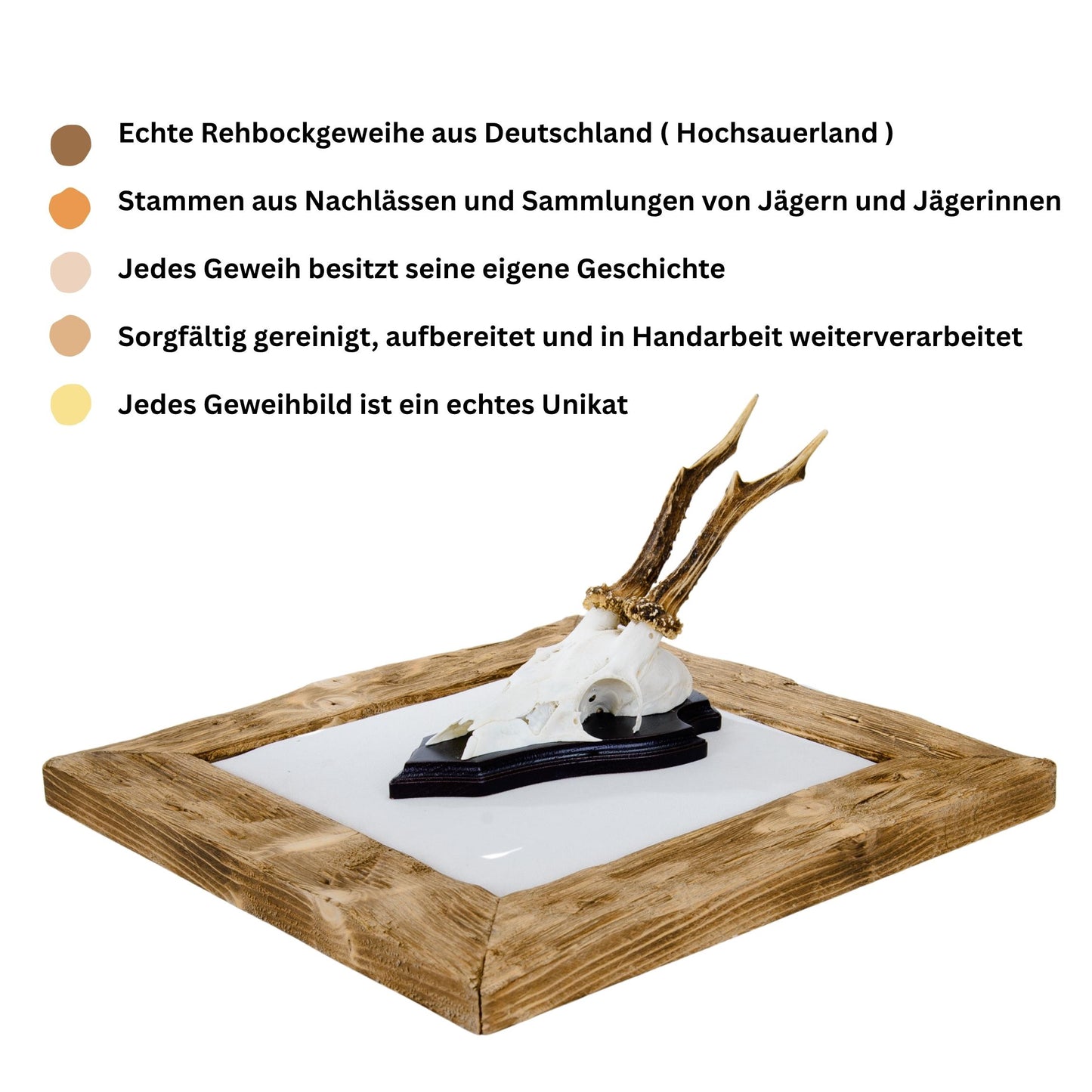 Geweihbilder naturweiß - Holz hell