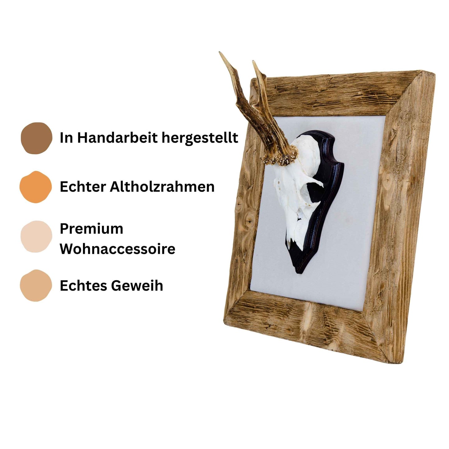 Geweihbilder naturweiß - Holz hell