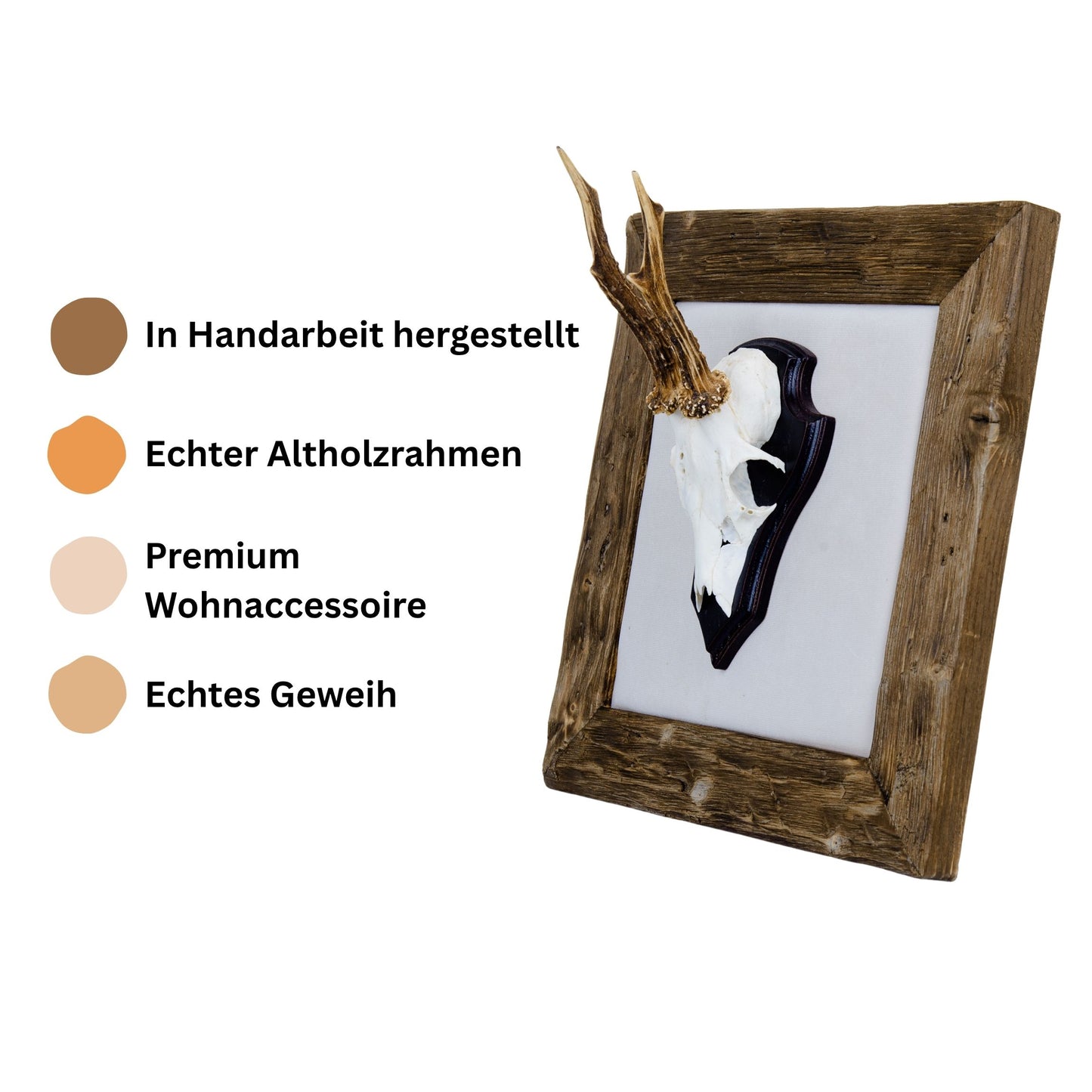 Geweihbilder naturweiß - Holz dunkel