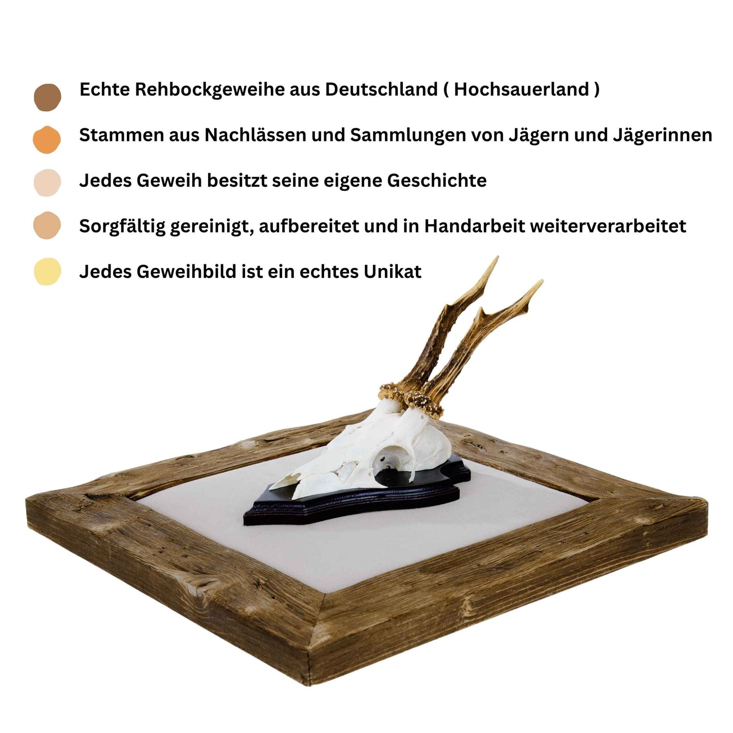 Geweihbilder naturweiß - Holz dunkel