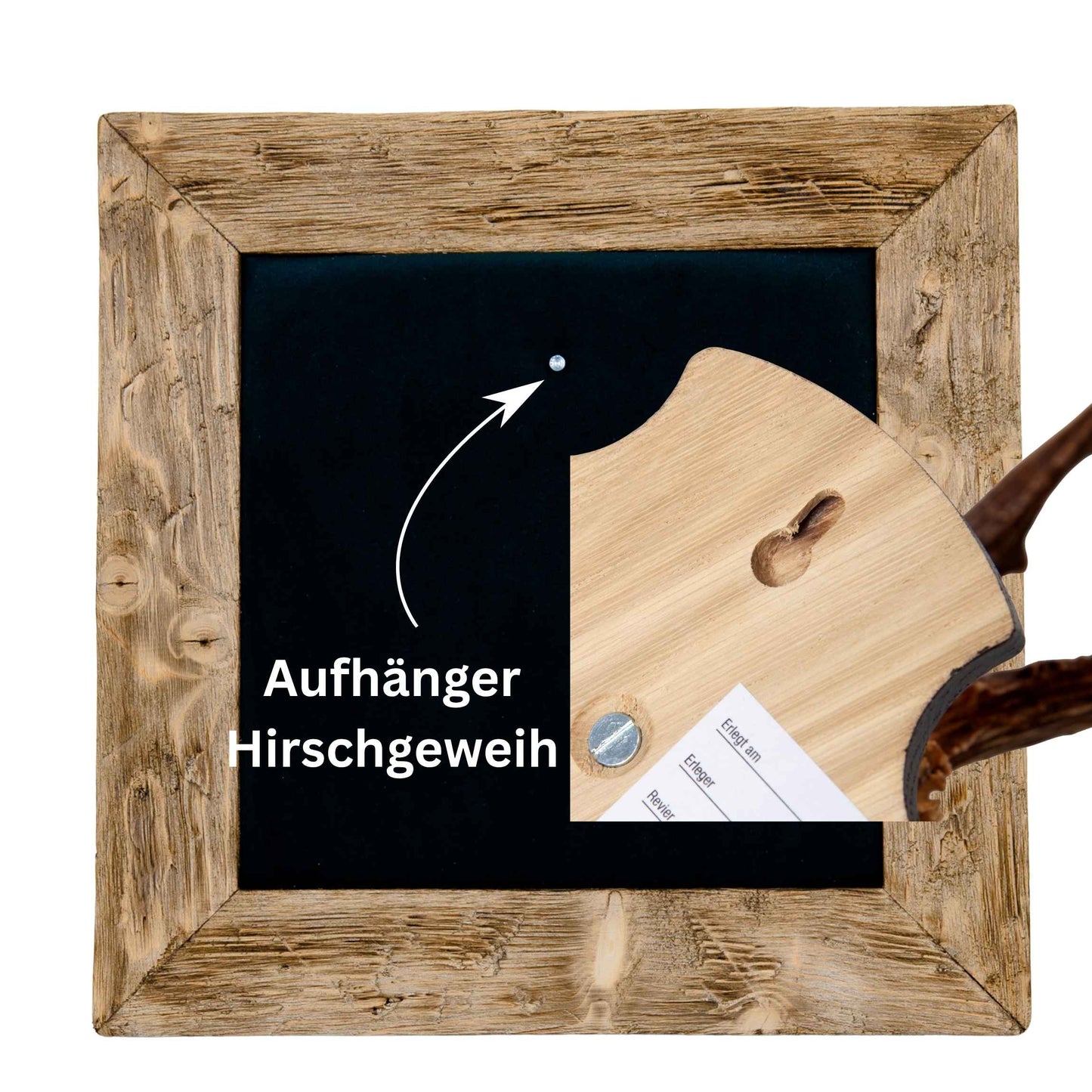 Geweihbilder dunkelgrau - Holz hell