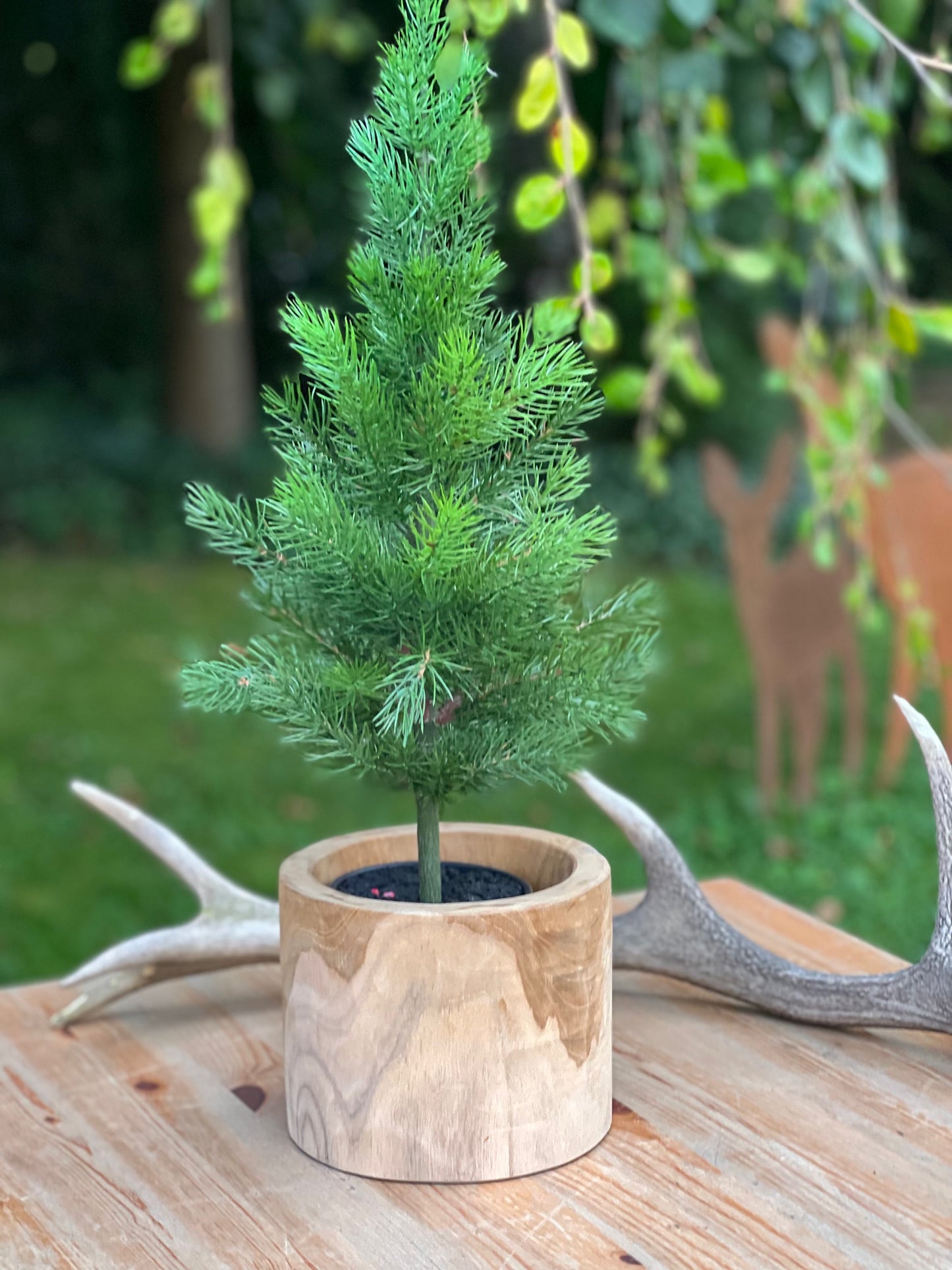 Tannenbaum
